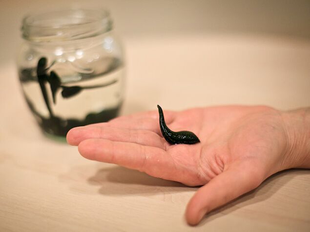 Used to treat arthrosis of the knee joint